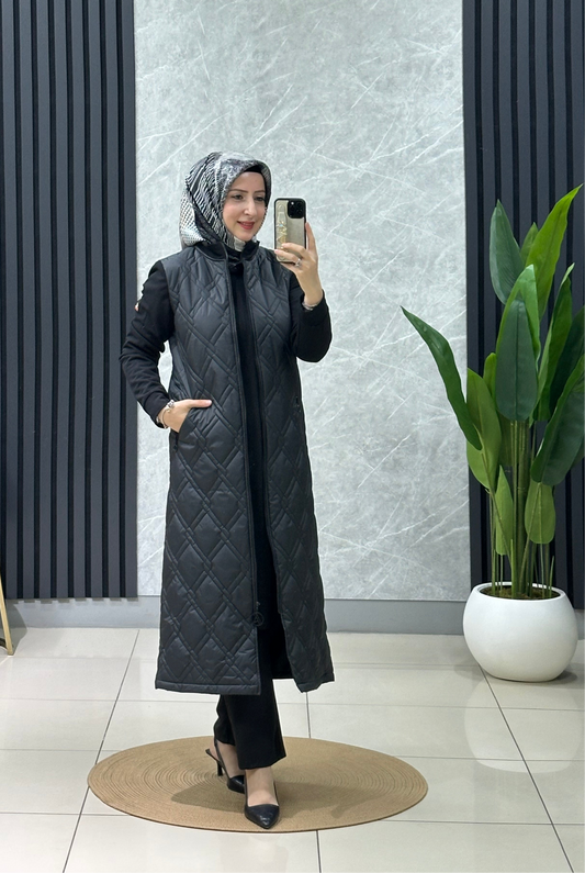 Armine giy çık