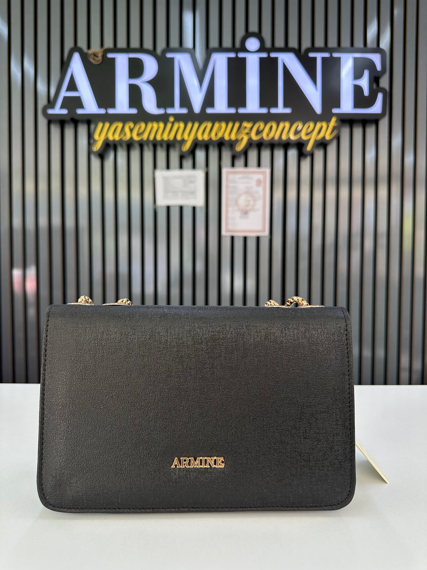 Armine Çanta Ürün kodu : 317